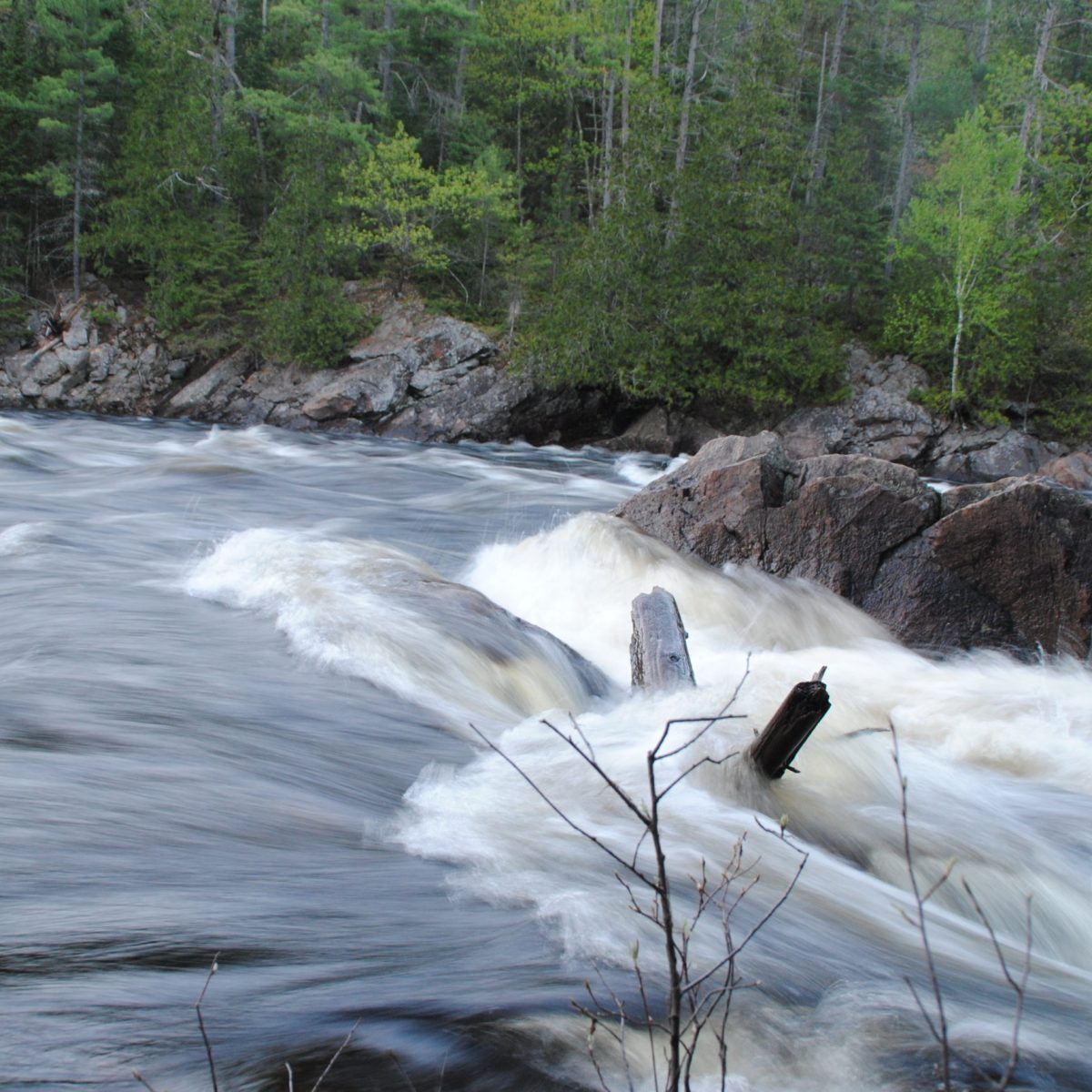 a waterfall surrounded by trees