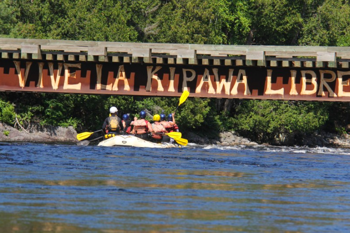 a train crossing a bridge over a body of water