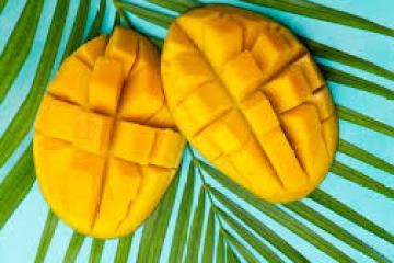 a group of purple flowers