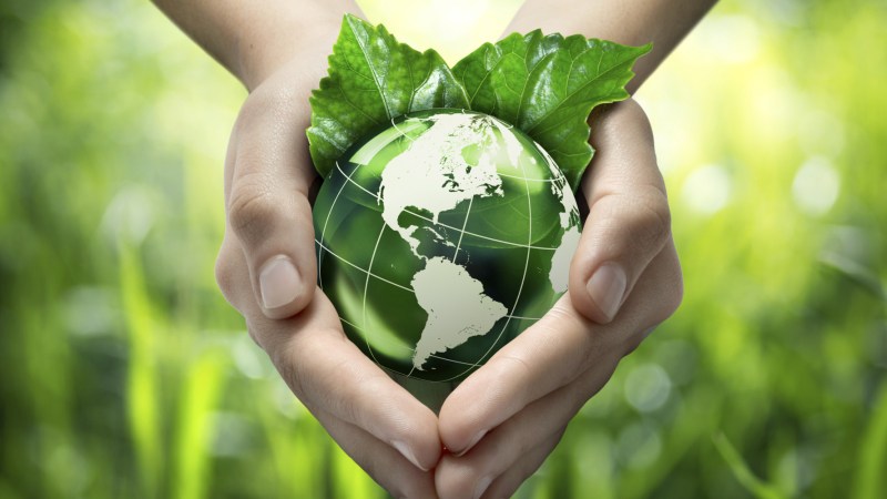 a hand holding a green leaf